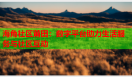 海角社区莆田：数字平台助力生活服务与社区互动