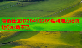 海角社区ID20492209独特魅力揭晓 让你心动不已