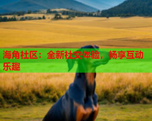 海角社区：全新社交体验，畅享互动乐趣